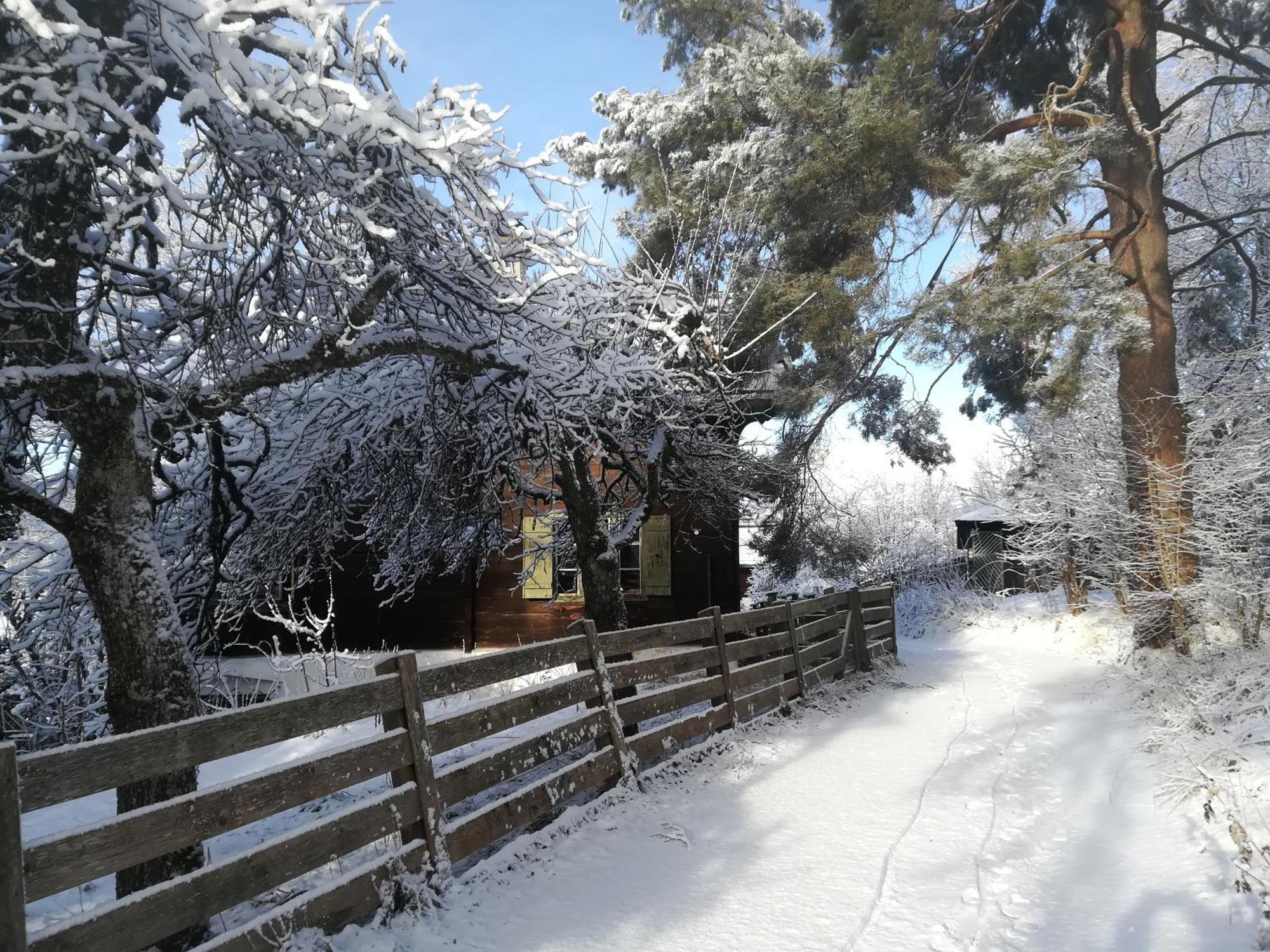 Villa Momo Kitzbuhel Exterior photo